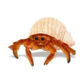Crab in cochilie de melc
