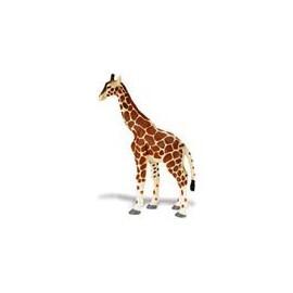 Girafa - 12