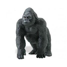 Gorila - Mascul - 11 x 9