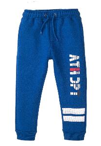 Pantaloni sport Minoti, 7BFJOG, ATH DPT, albastru