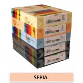 Carton color 160 gr A4 Sepia Somon - 250 coli