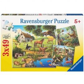 Puzzle paudre zoo si animale domestice 3x49 piese