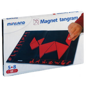 Joc Tangram Magnetic