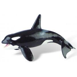 Balena ucigasa (orca)