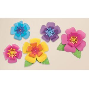 5 flori hibiscus carton